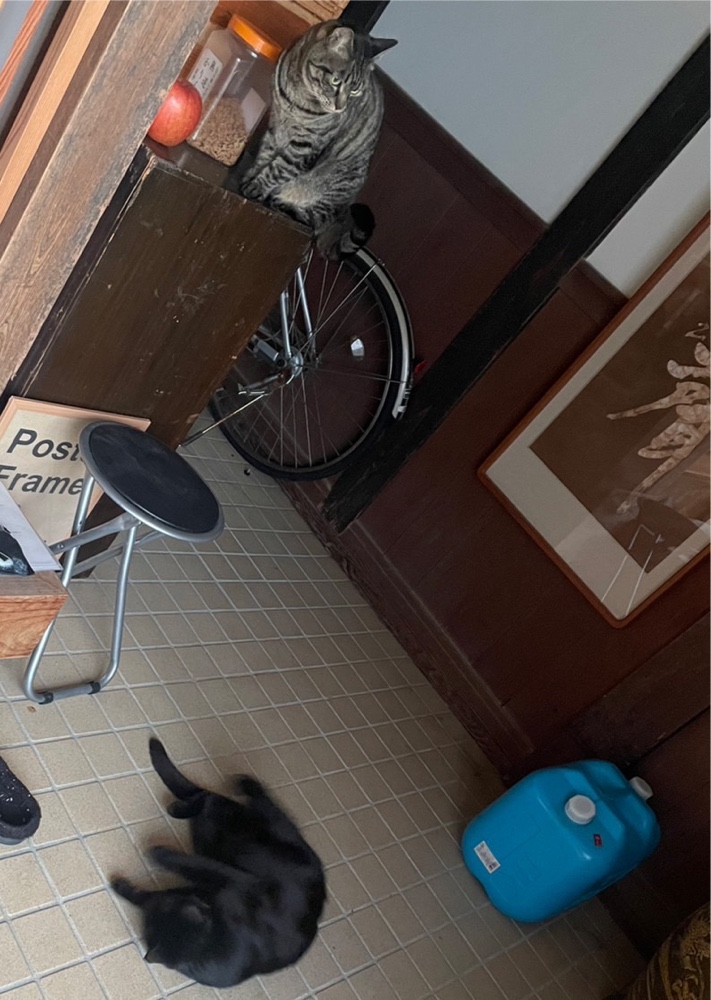 １日だけ留守宅日記